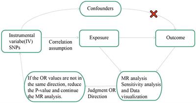 The relationship between major depression and migraine: A bidirectional two-sample Mendelian randomization study